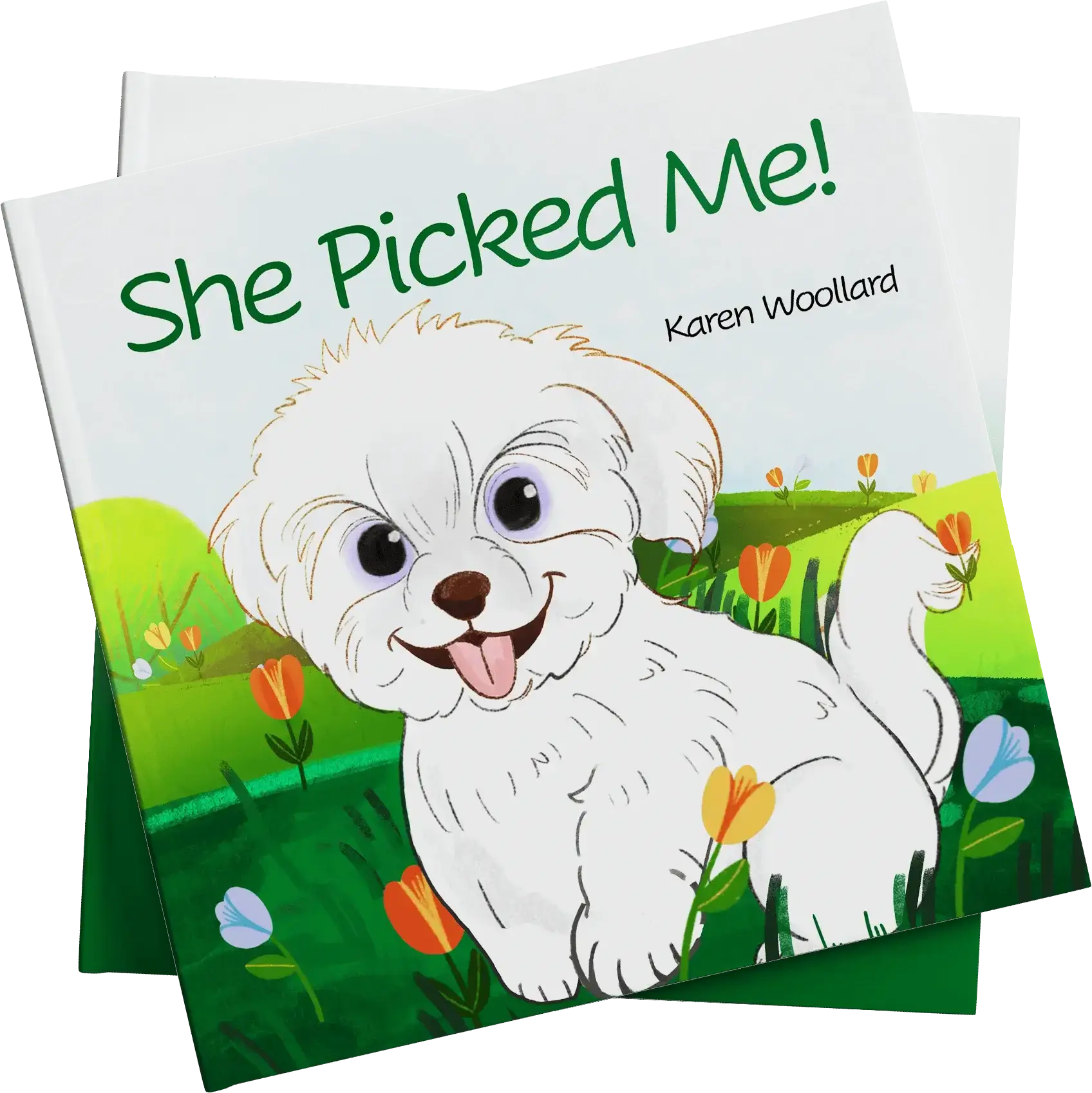 Hutchinson Publishers